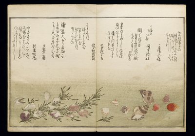 Shiohi no tsuto (Geschenken van de Eb), bekend als het Schelpenboek, 1789 door Kitagawa Utamaro