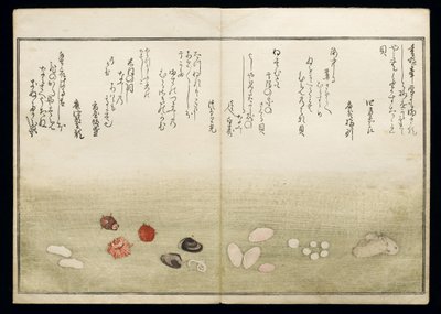 Shiohi no tsuto (Geschenken van de Eb), bekend als het Schelpenboek, 1789 door Kitagawa Utamaro