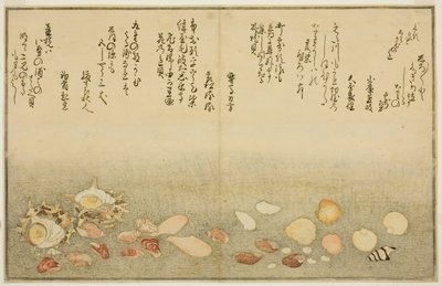 Shiro-gai, namima-gashiwa, makura-gai, iro-gai, aza-gai, sadae-gai, uit het geïllustreerde boek "Giften van de Eb (Shiohi no tsuto)" door Kitagawa Utamaro