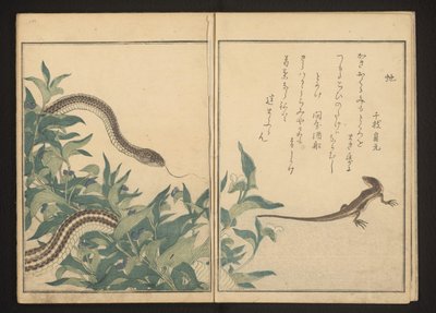Slang en hagedis bij een struik door Kitagawa Utamaro
