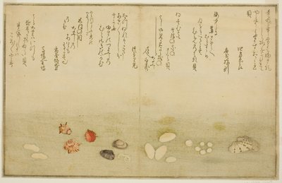 Sudare-gai, hana-gai, sakura-gai, mumeno-gai, nadeshiko-gai, en kinuta-gai, uit het geïllustreerde boek "Geschenken van de Eb (Shiohi no tsuto)" door Kitagawa Utamaro