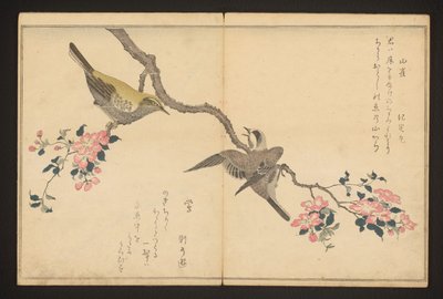Mees en struikzanger door Kitagawa Utamaro
