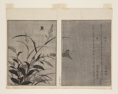 Boomkrekel en vuurvlieg door Kitagawa Utamaro