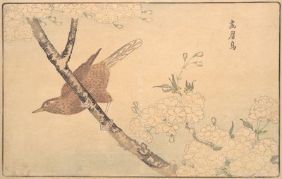 De grijze lijster door Kitao Masayoshi