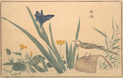 De Witte Kwikstaart, 1789 door Kitao Masayoshi
