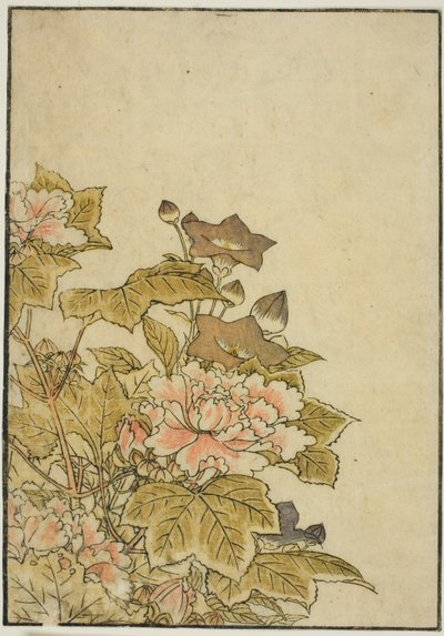 Herfstbloemen: Pioenen en Klokjesbloemen, uit het boek "Spiegel van Mooie Vrouwen van de Plezierkwartieren (Seiro bijin awase sugata kagami)," vol. 2 door Kitao Shigemasa
