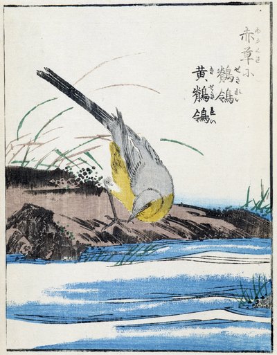 Vogel. Japanse tekening door Kitao Kosuisai door Kitao Shigemasa