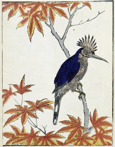 Vogel op een boom. Japanse tekening door Kitao Kosuisai door Kitao Shigemasa