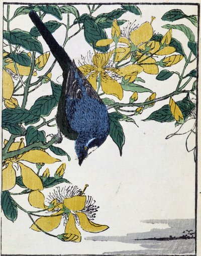 Vogel op een boom. Japanse tekening door Kitao Kosuisai door Kitao Shigemasa