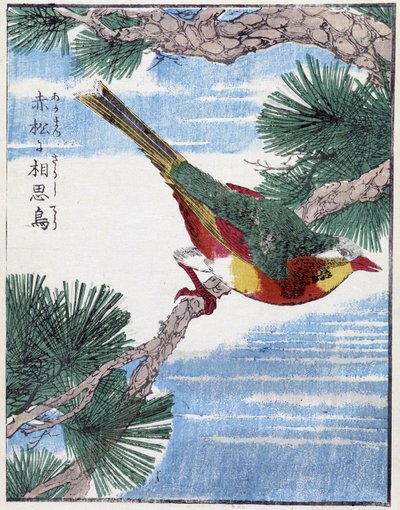 Vogel op een boom. Japanse tekening door Kitao Kosuisai door Kitao Shigemasa