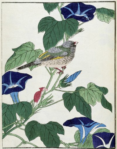 Vogel op een boom. Japanse tekening door Kitao Kosuisai door Kitao Shigemasa