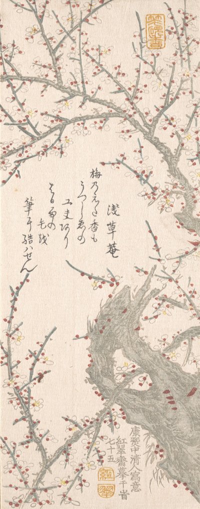 Pruimenboom in Bloei, 1813 door Kitao Shigemasa