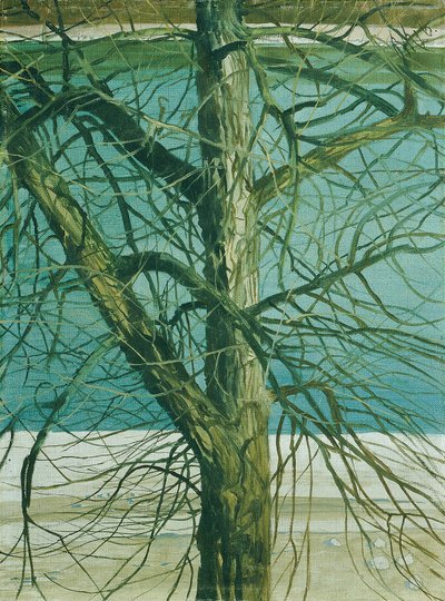 Boomstudie aan de Donau door Klemens Brosch