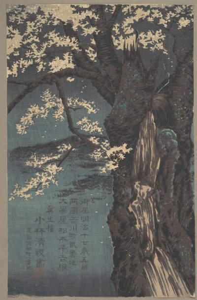  door Kobayashi Kiyochika
