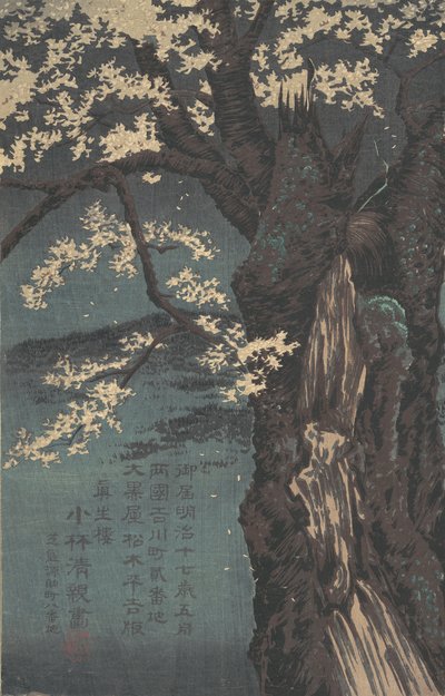 Kersenboom, gedateerd 1874 door Kobayashi Kiyochika
