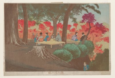 Gezicht op Takinogawa door Kobayashi Kiyochika