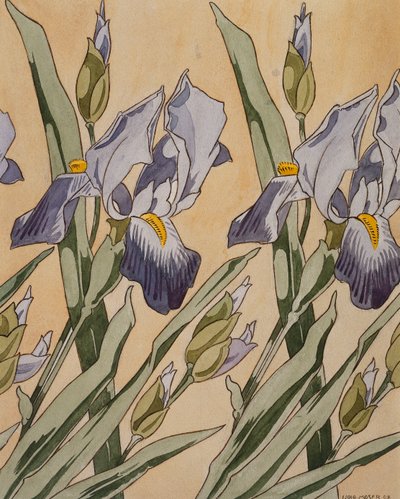 Iris, 1898 door Koloman Moser