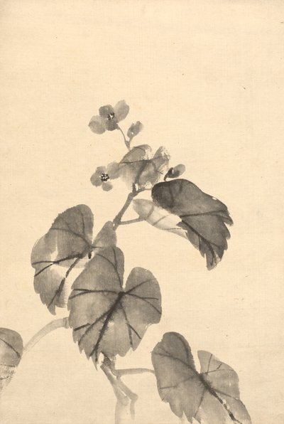 Tak van Begonia in Bloei door Kono Bairei