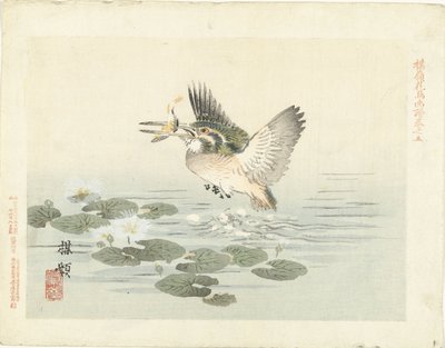 IJsvogel door Kono Bairei