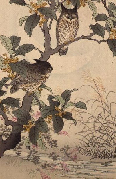 Twee uilen in een boom uit Bunrei Kacho Gafu door Kono Bairei (1844-95), uitgegeven 1885 door Kono Bairei