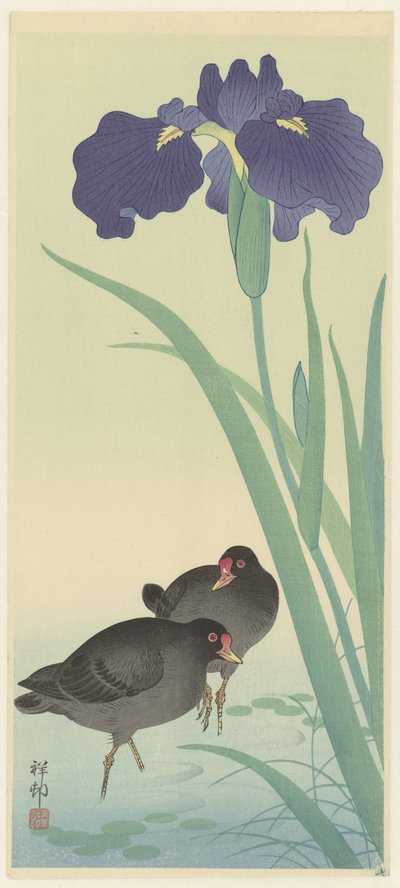 Waterhoentjes en Irissen door Ohara Koson