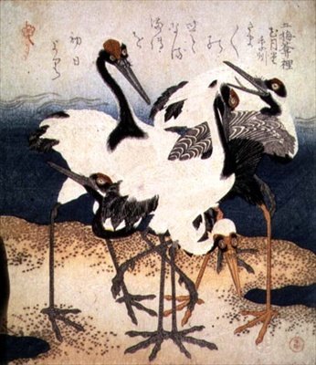 Vijf kraanvogels met witte veren in verschillende houdingen op een zandbank, uit de serie Drie Bloemblaadjes, c.1816 door Kubo Shumman