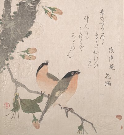 Goudvinken en kersenbloesems, 19e eeuw door Kubo Shunman