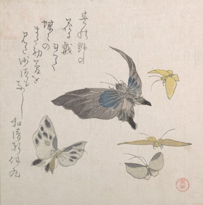 Vlinders, 19e eeuw door Kubo Shunman