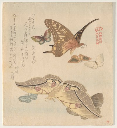 Vlinders en motten, uit de serie Een zwerm vlinders (Gunchō Gafu) door Kubo Shunman