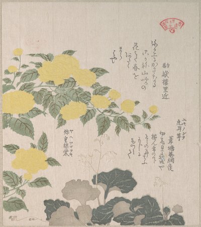 door Kubo Shunman