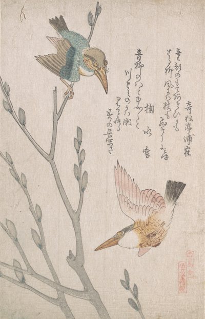 IJsvogels en wilgenkatjes, 19e eeuw door Kubo Shunman