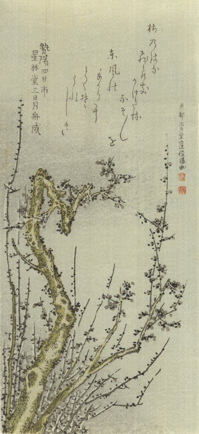 Oude pruimenboom door Kubo Shunman