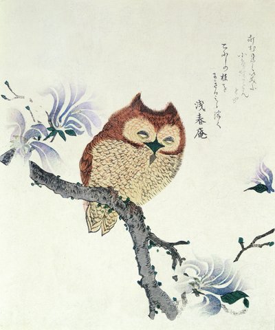 Uil op een Magnolia-tak (inkt  kleur op papier) door Kubo Shunman