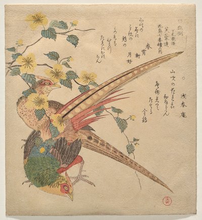 Paar Chinese fazanten en een tak van yamabuki bloemen door Kubo Shunman