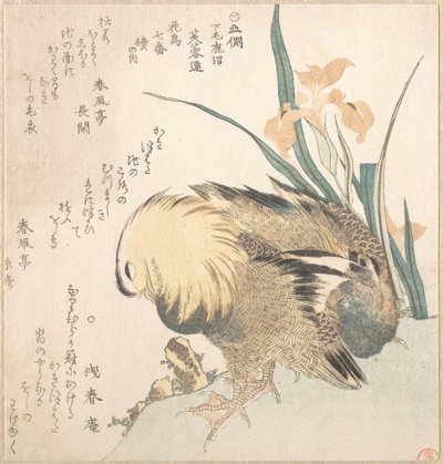  door Kubo Shunman