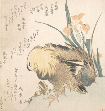 Paar mandarijneenden en irisbloemen door Kubo Shunman