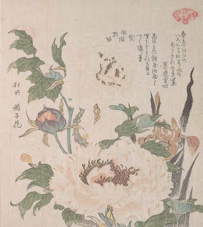 Pioenen en Iris door Kubo Shunman