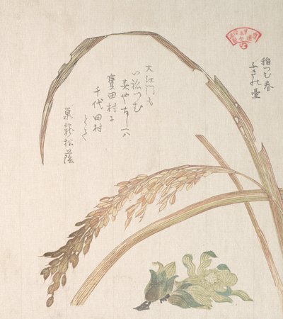 Rijstplant en Boterklis, 19e eeuw door Kubo Shunman
