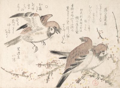 Mussen en pruimenbloesems, 19e eeuw door Kubo Shunman