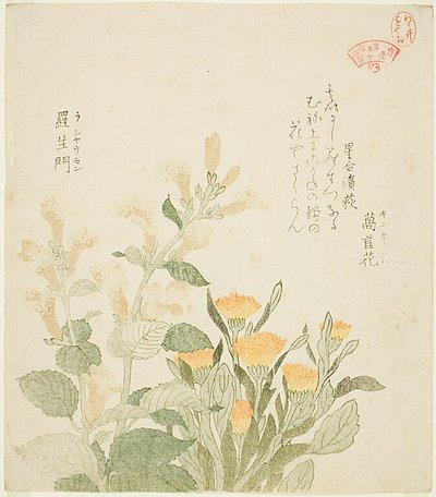 De goudsbloem en de Rajomanbloemen door Kubo Shunman