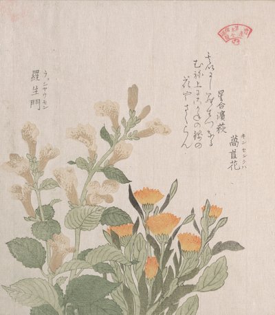 De gewone goudsbloem en de Rajoman bloemen, 19e eeuw door Kubo Shunman