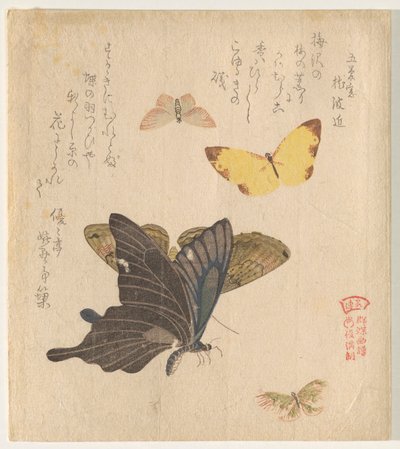 Het schilderhandboek van een vlinderzwerm (Guncho? Gafu) door Kubo Shunman