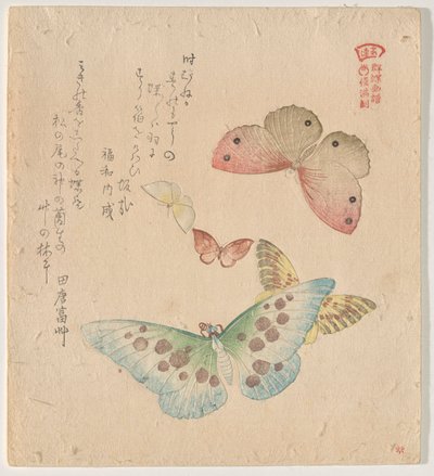 Het Schilderhandboek van Vlinders (Guncho? Gafu) door Kubo Shunman