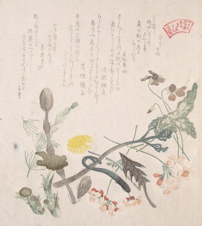 Viooltjes, sleutelbloemen en andere lentebloemen, 19e eeuw door Kubo Shunman