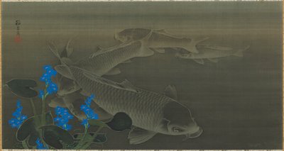 Karper, Edo-periode, begin 19e eeuw door Kuroda Toko