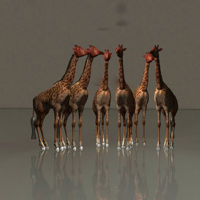 Giraffen in harmonie door Kurt Heppke