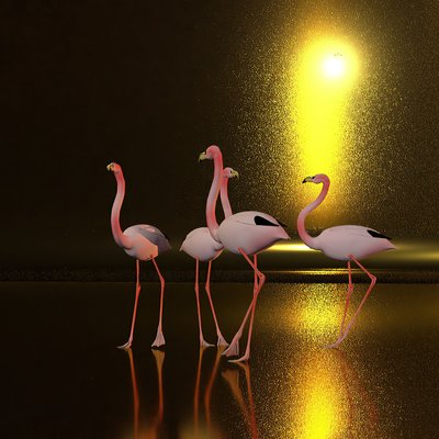 Rondhangen op de vlakte in de nacht door Kurt Heppke