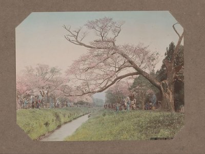 Mensen en kersenbloesem aan weerszijden van een beek in Koganei, Tokyo, Japan door Kusakabe Kimbei