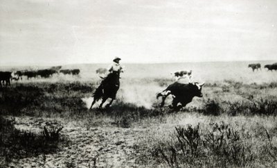 Cowboy te paard die een kalf vangt door L.A. Huffman