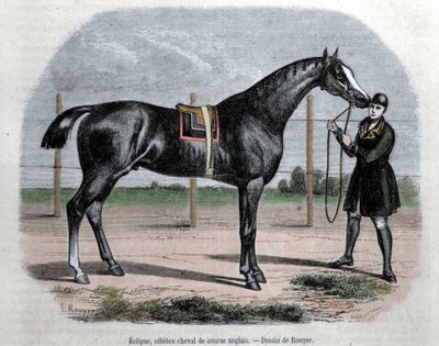 Het Engelse renpaard Eclipse. Illustratie door Rouyer. door L. (after) Rouyer